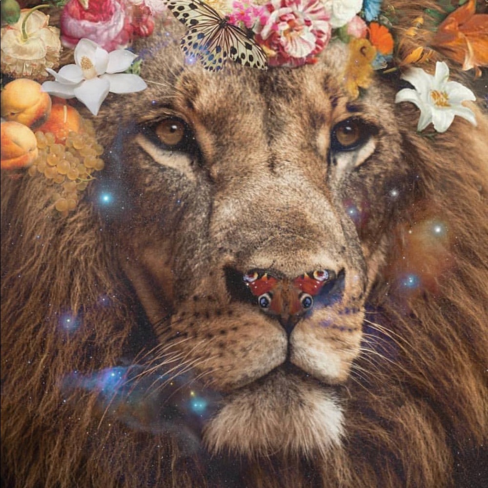 Meet your Posher, Al